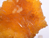 8cms GOLDEN SELENITE CRYSTALS Cluster Fish Tail Peru Yellow Gypsum Mineral Specimen T466
