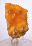 8cms GOLDEN SELENITE CRYSTALS Cluster Fish Tail Peru Yellow Gypsum Mineral Specimen T466