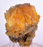 6.2cms GOLDEN SELENITE CRYSTALS Cluster Fish Tail Peru Yellow Gypsum Mineral Specimen T467