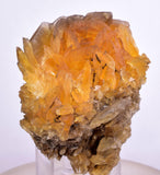 6.2cms GOLDEN SELENITE CRYSTALS Cluster Fish Tail Peru Yellow Gypsum Mineral Specimen T467