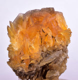 6.2cms GOLDEN SELENITE CRYSTALS Cluster Fish Tail Peru Yellow Gypsum Mineral Specimen T467