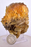 6.2cms GOLDEN SELENITE CRYSTALS Cluster Fish Tail Peru Yellow Gypsum Mineral Specimen T467