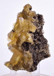 7.1cms GOLDEN SELENITE CRYSTALS Cluster Fish Tail Peru Yellow Gypsum Mineral Specimen T468