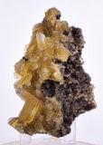 7.1cms GOLDEN SELENITE CRYSTALS Cluster Fish Tail Peru Yellow Gypsum Mineral Specimen T468