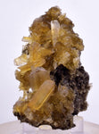7.1cms GOLDEN SELENITE CRYSTALS Cluster Fish Tail Peru Yellow Gypsum Mineral Specimen T468