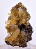 7.1cms GOLDEN SELENITE CRYSTALS Cluster Fish Tail Peru Yellow Gypsum Mineral Specimen T468
