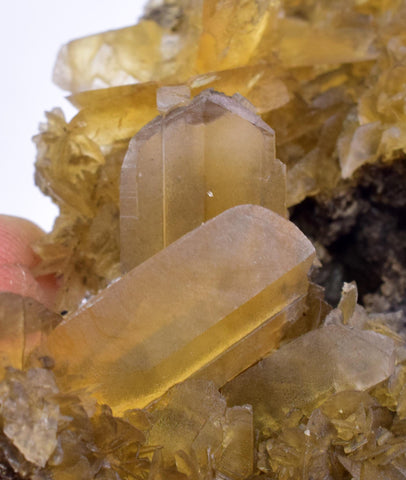 7.1cms GOLDEN SELENITE CRYSTALS Cluster Fish Tail Peru Yellow Gypsum Mineral Specimen T468