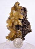 7.1cms GOLDEN SELENITE CRYSTALS Cluster Fish Tail Peru Yellow Gypsum Mineral Specimen T468