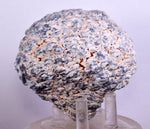 8cms GEM BLUE ANHYDRITE Nodule Bptryidal Crystals Peru Specimen C39