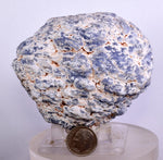 8cms GEM BLUE ANHYDRITE Nodule Bptryidal Crystals Peru Specimen C39