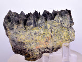 7.5cms GEM AXINITE CRYSTALS Peru Mineral Specimen Collector Old Stock Peru  A622