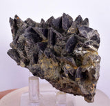 7.5cms GEM AXINITE CRYSTALS Peru Mineral Specimen Collector Old Stock Peru  A622