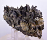 7.5cms GEM AXINITE CRYSTALS Peru Mineral Specimen Collector Old Stock Peru  A622