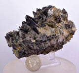 7.5cms GEM AXINITE CRYSTALS Peru Mineral Specimen Collector Old Stock Peru  A622