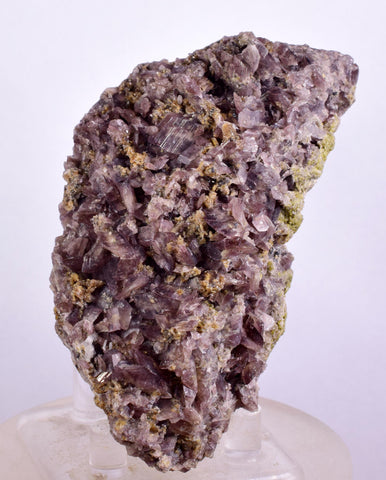 9.5cms GEM AXINITE CRYSTALS Peru Mineral Specimen Collector Old Stock Peru  A623