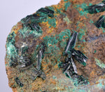 9.1cms ATACAMITE CRYSTALS CHILE Chrysocolla Mineral Specimen A624