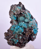 4.8cms DRUZY CHRYSOCOLLA QUARTZ Druzy Chile Inca de Oro Mineral Specimen D283