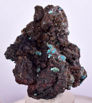 4.8cms DRUZY CHRYSOCOLLA QUARTZ Druzy Chile Inca de Oro Mineral Specimen D283