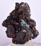 4.8cms DRUZY CHRYSOCOLLA QUARTZ Druzy Chile Inca de Oro Mineral Specimen D283