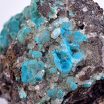 4.8cms DRUZY CHRYSOCOLLA QUARTZ Druzy Chile Inca de Oro Mineral Specimen D283