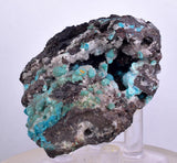 5.7cms DRUZY CHRYSOCOLLA QUARTZ Druzy Chile Inca de Oro Mineral Specimen D284