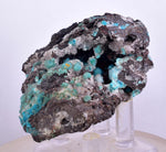 5.7cms DRUZY CHRYSOCOLLA QUARTZ Druzy Chile Inca de Oro Mineral Specimen D284