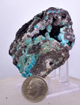 5.7cms DRUZY CHRYSOCOLLA QUARTZ Druzy Chile Inca de Oro Mineral Specimen D284
