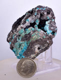 5.7cms DRUZY CHRYSOCOLLA QUARTZ Druzy Chile Inca de Oro Mineral Specimen D284