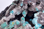 5.7cms DRUZY CHRYSOCOLLA QUARTZ Druzy Chile Inca de Oro Mineral Specimen D284