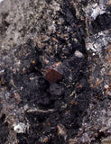 14cm MARCASITE Pyrite Chalcopyrite Sphalerite Galena Calcite Crystals Peru M268