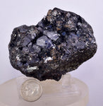 6.9cms MARCASITE BLADES Pyrite Chalcopyrite Sphalerite Galena Crystals Peru M272