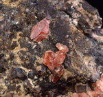 5.6cms RHODOCHROSITE CRYSTALS Peru Uchucchacua Mine Gemstone Collector Mineral Specimen R761