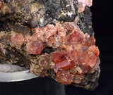 5.6cms RHODOCHROSITE CRYSTALS Peru Uchucchacua Mine Gemstone Collector Mineral Specimen R761