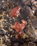 5.6cms RHODOCHROSITE CRYSTALS Peru Uchucchacua Mine Gemstone Collector Mineral Specimen R761