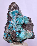 5.7cms DRUZY CHRYSOCOLLA QUARTZ Druzy Chile Inca de Oro Mineral Specimen D285
