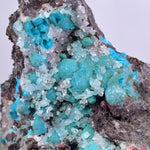 5.7cms DRUZY CHRYSOCOLLA QUARTZ Druzy Chile Inca de Oro Mineral Specimen D285