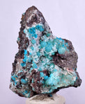 5.7cms DRUZY CHRYSOCOLLA QUARTZ Druzy Chile Inca de Oro Mineral Specimen D285