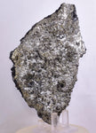13cm MARCASITE BLADES Pyrite Chalcopyrite Sphalerite Galena Calcite Crystals Peru M262