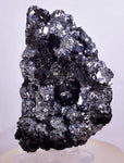 8.5cm MARCASITE BLADES Pyrite Chalcopyrite Sphalerite Galena Calcite Crystals Peru M263