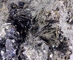 11.5cm MARCASITE BLADES Pyrite Chalcopyrite Sphalerite Galena Calcite Crystals Peru M264