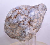 9.1cms GEM BLUE ANHYDRITE Nodule Bptryidal Crystals Peru Specimen C40