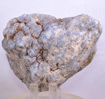 9.1cms GEM BLUE ANHYDRITE Nodule Bptryidal Crystals Peru Specimen C40