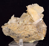 10.5cms SELENITE CRYSTALS Lily Mine Peru Gypsum Mineral Specimen T470