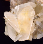 10.5cms SELENITE CRYSTALS Lily Mine Peru Gypsum Mineral Specimen T470