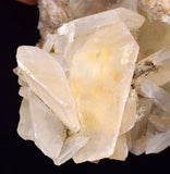 10.5cms SELENITE CRYSTALS Lily Mine Peru Gypsum Mineral Specimen T470