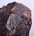 6cms GARNET ANDRADITE STEPPED Spessartine Crystal Rare Peru Grossular Peru Gemstone Mineral Specimen G274