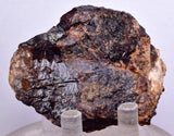 6cms GARNET ANDRADITE STEPPED Spessartine Crystal Rare Peru Grossular Peru Gemstone Mineral Specimen G274