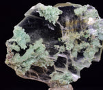 4.8cms CRYSOCOLLA INSIDE SELENITE Crystals  Peru Chrysocolla Gypsum Premium Mineral Specimen T472
