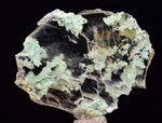 4.8cms CRYSOCOLLA INSIDE SELENITE Crystals  Peru Chrysocolla Gypsum Premium Mineral Specimen T472