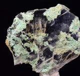 4.8cms CRYSOCOLLA INSIDE SELENITE Crystals  Peru Chrysocolla Gypsum Premium Mineral Specimen T472
